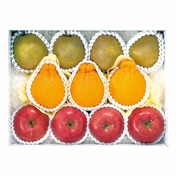 ct[c  tXEfR|ETӂly͂ԁF11{`z